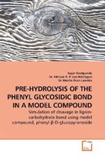 PRE-HYDROLYSIS OF THE PHENYL GLYCOSIDIC BOND IN A MODEL COMPOUND