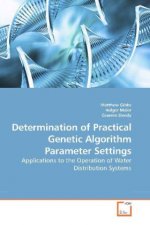 Determination of Practical Genetic Algorithm Parameter Settings