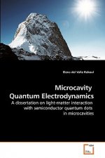 Microcavity Quantum Electrodynamics