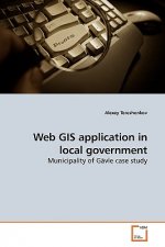 Web GIS application in local government