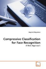 Compressive Classification for Face Recognition