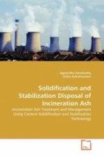 Solidification and Stabilization Disposal of Incineration Ash