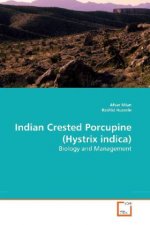 Indian Crested Porcupine (Hystrix indica)