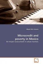Microcredit and poverty in Mexico