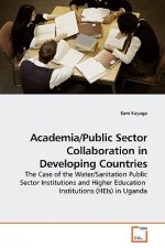 Academia/Public Sector Collaboration in Developing Countries