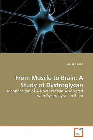 From Muscle to Brain