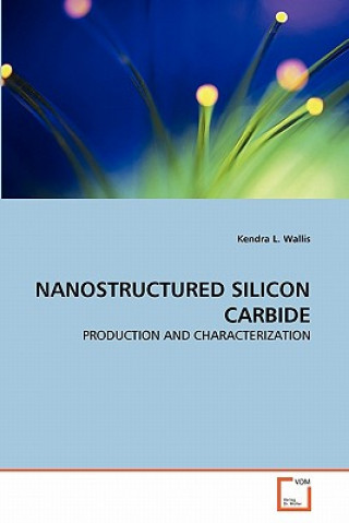 Nanostructured Silicon Carbide
