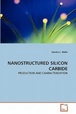 Nanostructured Silicon Carbide