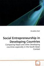 Social Entrepreneurship in Developing Countries