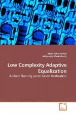 Low Complexity Adaptive Equalization