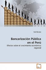 Bancarizacion Publica en el Peru