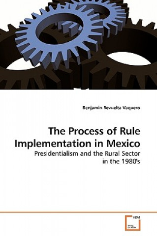 Process of Rule Implementation in Mexico