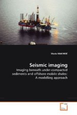 Seismic imaging
