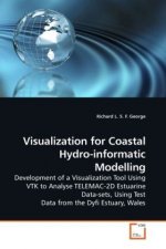 Visualization for Coastal Hydro-informatic Modelling