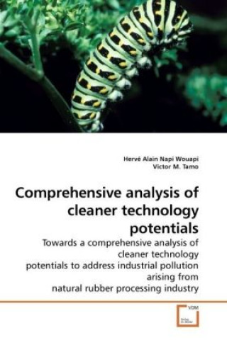 Comprehensive analysis of cleaner technology potentials