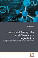 Kinetics of Amoxycillin and Clavulanate degradation