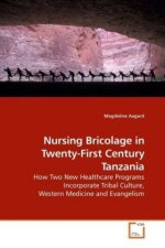 Nursing Bricolage in Twenty-First Century Tanzania