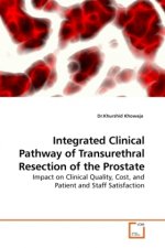 Integrated Clinical Pathway of Transurethral Resection of the Prostate