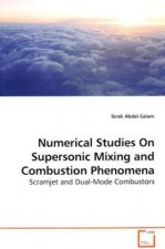 Numerical Studies On Supersonic Mixing and Combustion Phenomena
