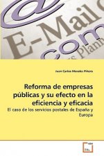 Reforma de empresas publicas y su efecto en la eficiencia y eficacia