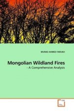 Mongolian Wildland Fires