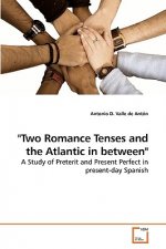 Two Romance Tenses and the Atlantic in between