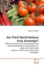 Are Third World Nations truly Sovereign?