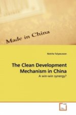 The Clean Development Mechanism in China