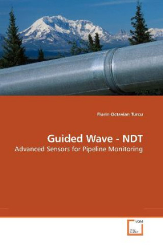 Guided Wave - NDT