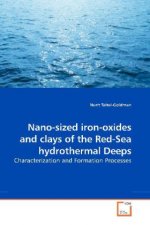 Nano-sized iron-oxides and clays of the Red-Sea hydrothermal Deeps
