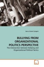 BULLYING FROM ORGANIZATIONAL POLITICS PERSPECTIVE