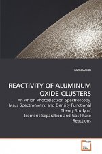 Reactivity of Aluminum Oxide Clusters
