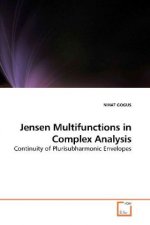 Jensen Multifunctions in Complex Analysis
