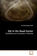 EIA in the Road Sector
