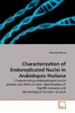 Characterization of Endoreplicated Nuclei in Arabidopsis thaliana