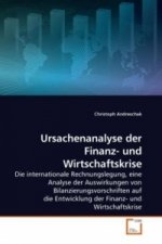 Ursachenanalyse der Finanz- und Wirtschaftskrise