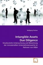 Intangible Assets Due Diligence