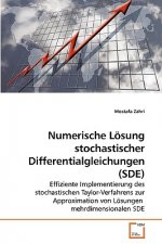 Numerische Loesung stochastischer Differentialgleichungen (SDE)