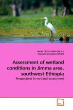 Assessment of wetland conditions in Jimma area, southwest Ethiopia
