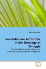 Revolutionäre Aufbrüche in der Theology of Struggle