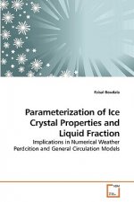 Parameterization of Ice Crystal Properties and Liquid Fraction