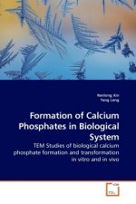 Formation of Calcium Phosphates in Biological System