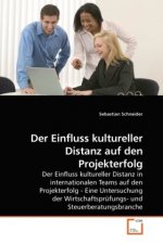 Der Einfluss kultureller Distanz auf den Projekterfolg