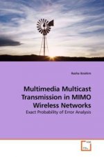Multimedia Multicast Transmission in MIMO Wireless Networks