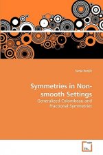 Symmetries in Non-smooth Settings