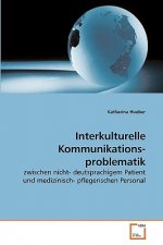 Interkulturelle Kommunikations- problematik