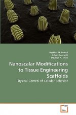 Nanoscalar Modifications to Tissue Engineering Scaffolds