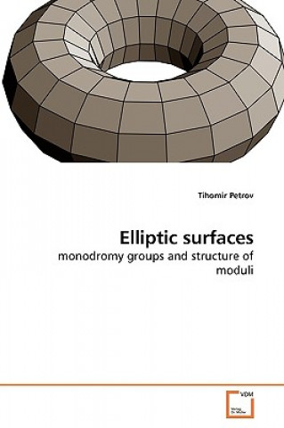 Elliptic surfaces