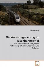 Anreizregulierung im Eisenbahnsektor