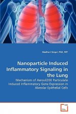 Nanoparticle Induced Inflammatory Signaling in the Lung